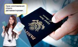 Сроки оформления загранпаспорта нового и старого образца